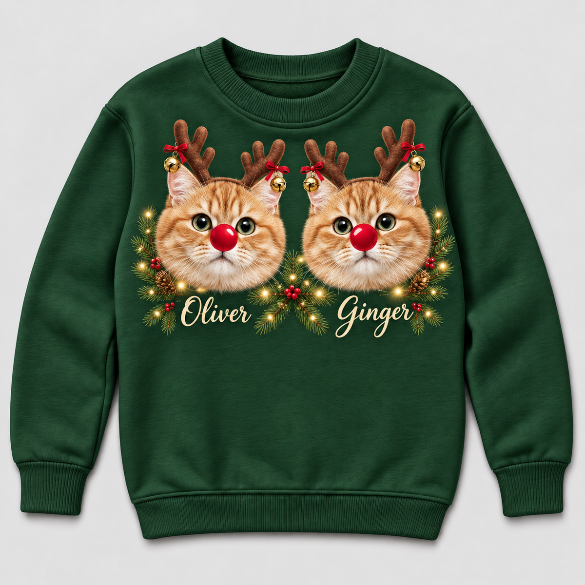 Christmas Cat Sweatshirt Holiday Graphic Red Nose Pet Crewneck